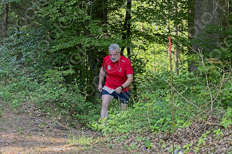 2022-05-22 Hexepäddl Lauf TV Hinterweidenthal