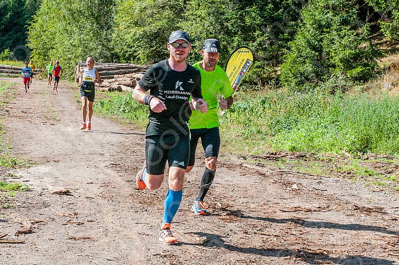 Pfälzerwald Marathon 2016