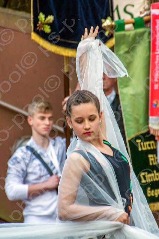 2016-05-25 Landesturnfest Pirmasens