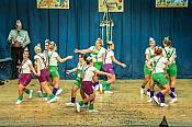 2019-02-10 Kappesitzung Hoppeditz - Ottweiler