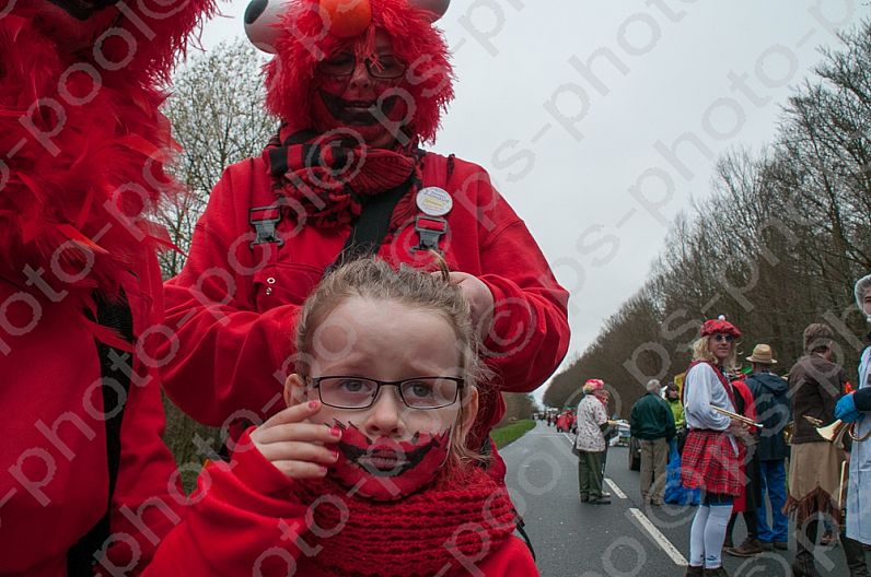 2017-03-19 Faschingsumzug Niderviller / FR