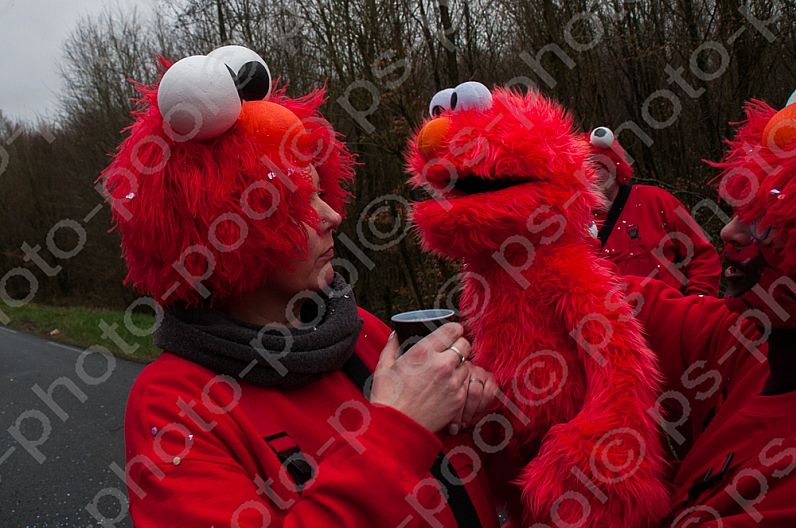 2017-03-19 Faschingsumzug Niderviller / FR