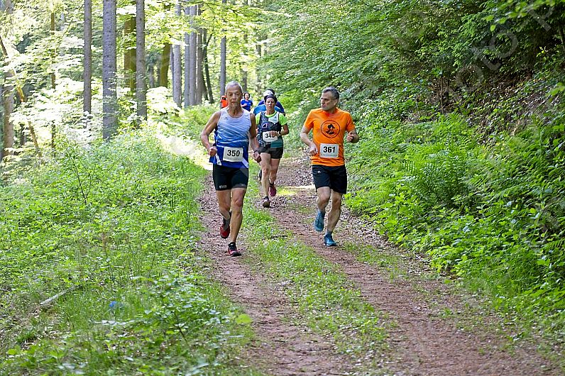 2022-05-22 Hexepäddl Lauf TV Hinterweidenthal