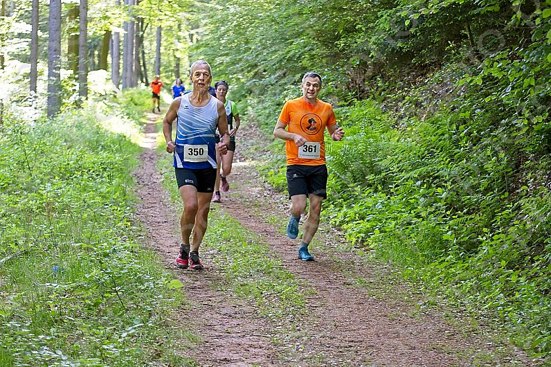 2022-05-22 Hexepäddl Lauf TV Hinterweidenthal