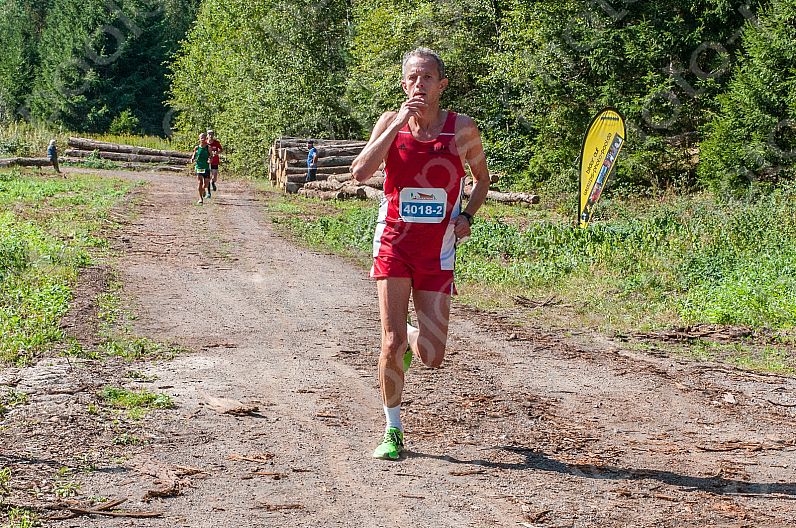 Pfälzerwald Marathon 2016