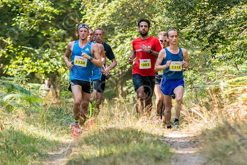Pfälzerwald Marathon 2016