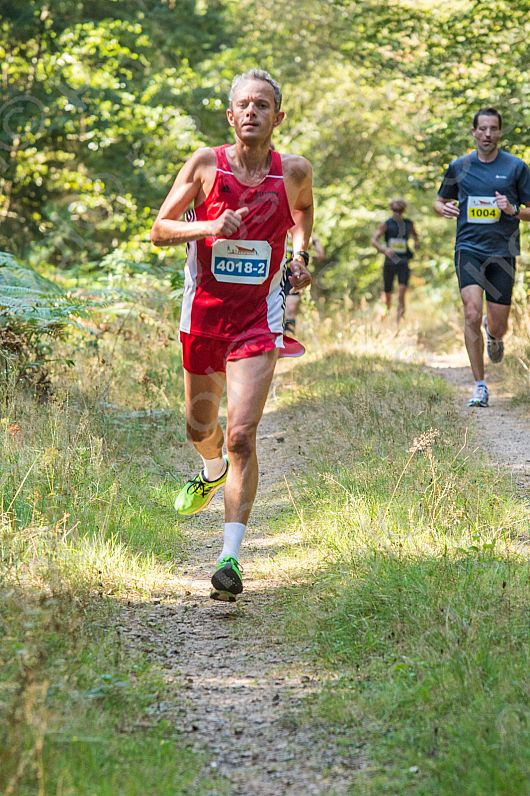 Pfälzerwald Marathon 2016