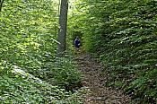 2022-05-22 Hexepäddl Lauf TV Hinterweidenthal