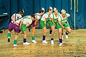 2019-02-10 Kappesitzung Hoppeditz - Ottweiler