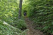 2022-05-22 Hexepäddl Lauf TV Hinterweidenthal
