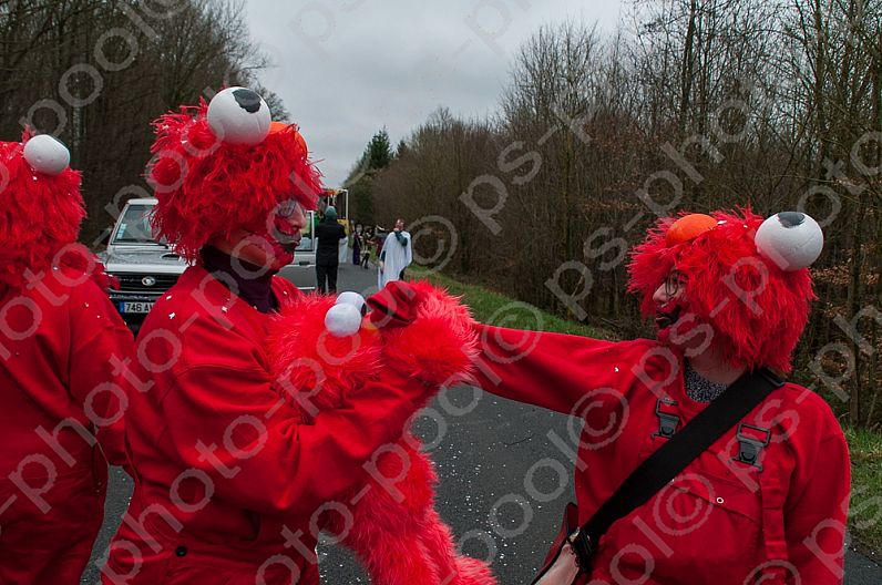 2017-03-19 Faschingsumzug Niderviller / FR