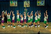 2019-02-10 Kappesitzung Hoppeditz - Ottweiler
