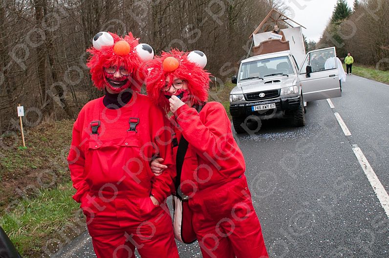 2017-03-19 Faschingsumzug Niderviller / FR