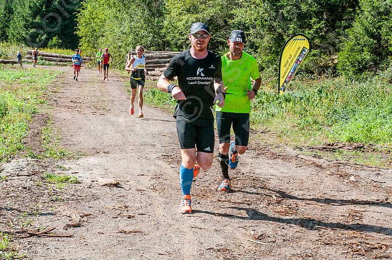 Pfälzerwald Marathon 2016